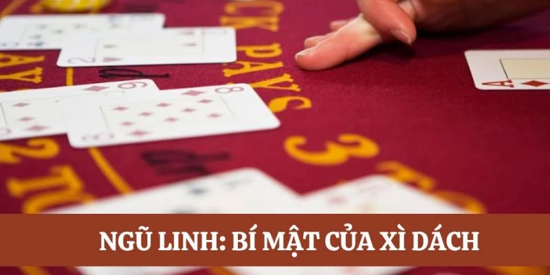 Sơ lược thông tin thú vị giới thiệu về ngũ linh xì dách